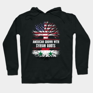 American Grown with Syrian Roots USA Flag Hoodie